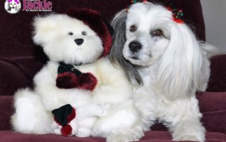 Jackie and her white Christmas bear stuffed animal