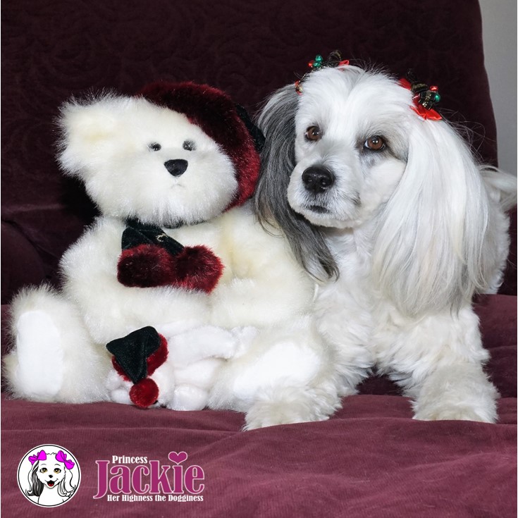Jackie and her white Christmas bear stuffed animal