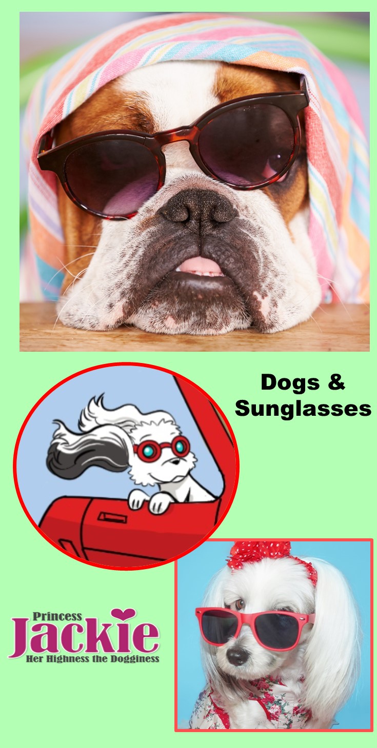 Dogs Wearing Sunglasses