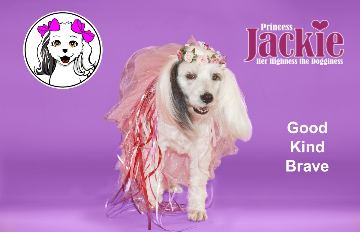 Dog fashion with Jackie in her pink tulle skirt and flowered headband