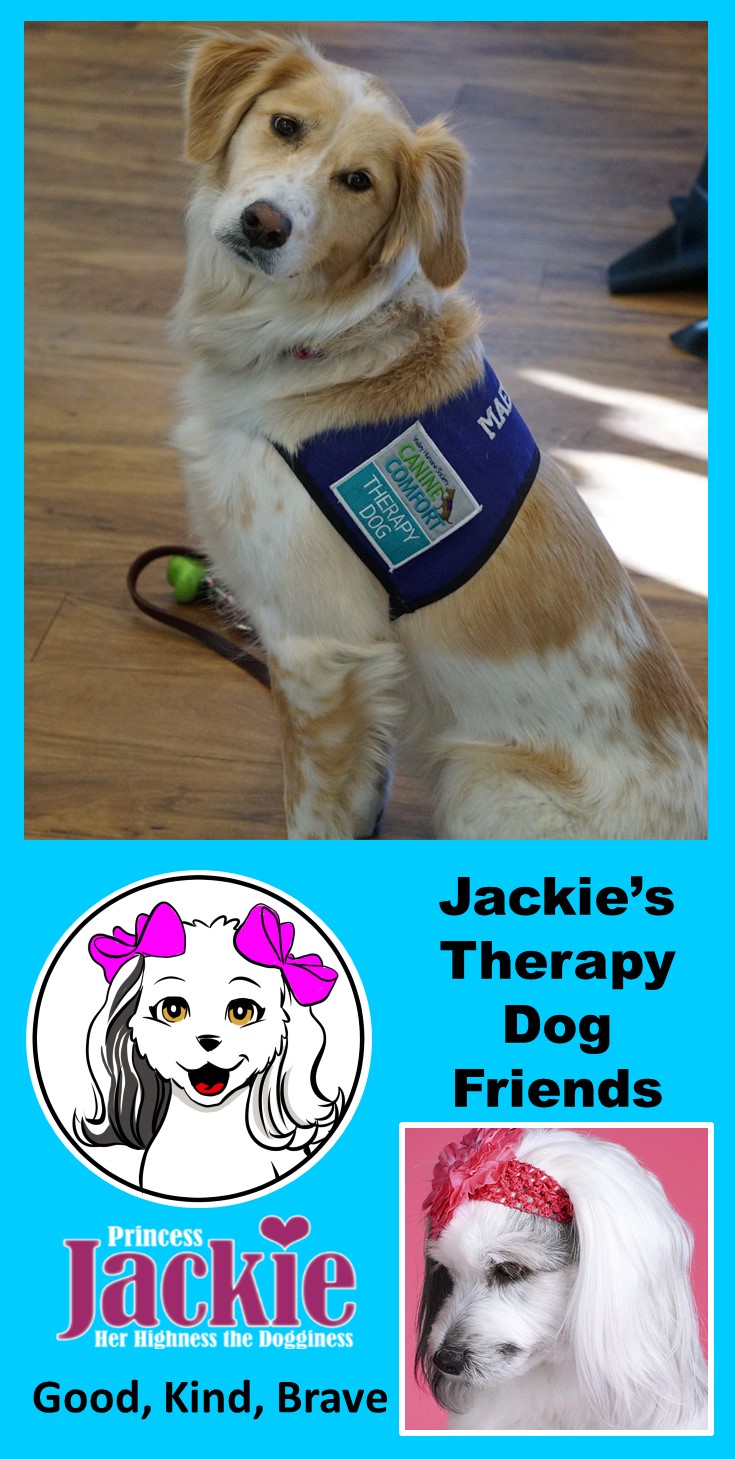 Jackie thanks therapy dogs for their service.
