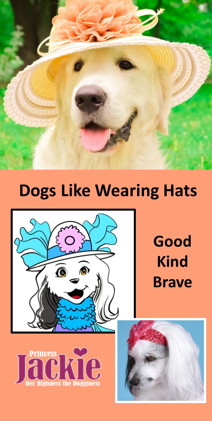 Dogs Like Wearing Hats