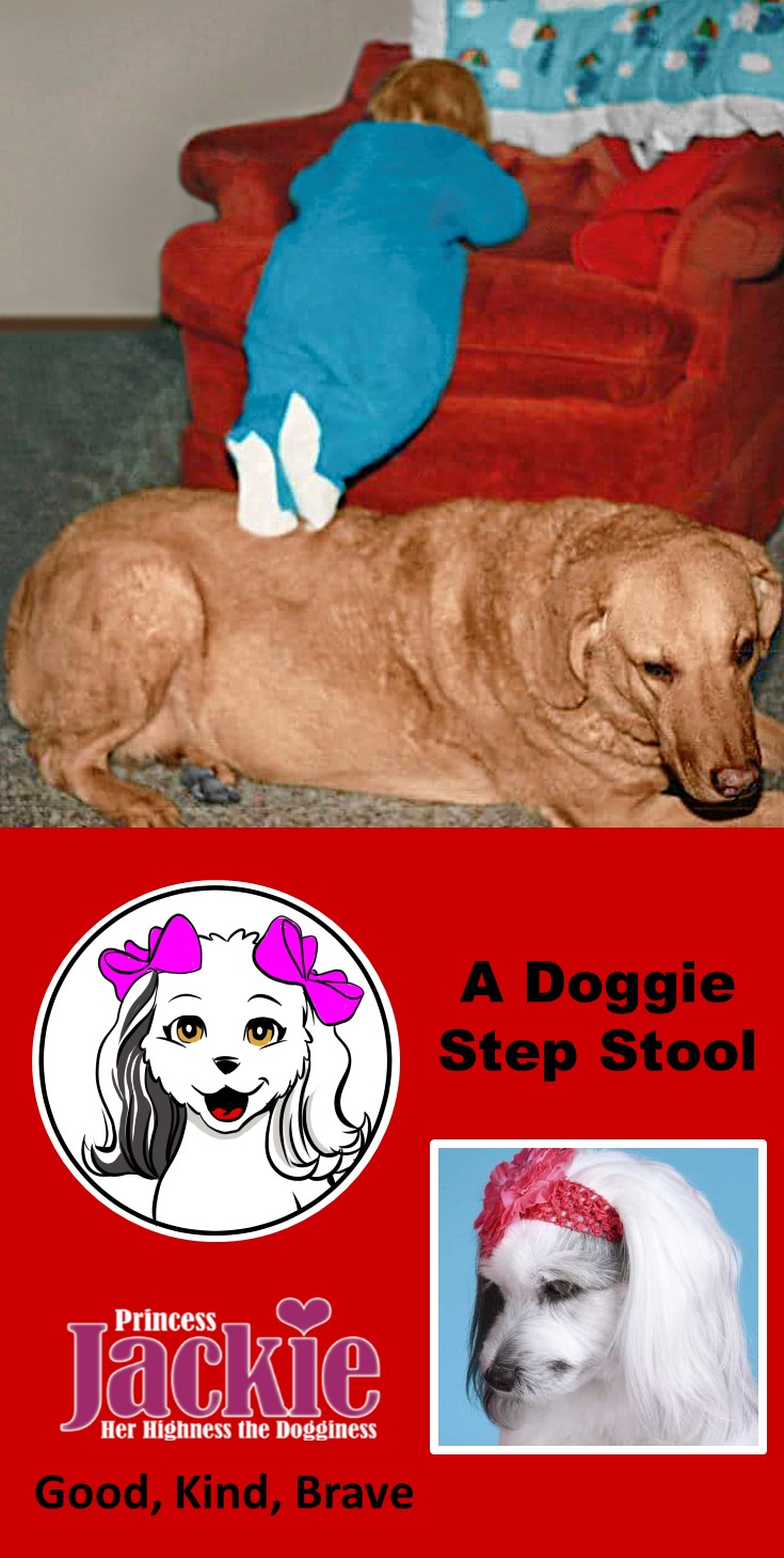 Doggie Step Stool
