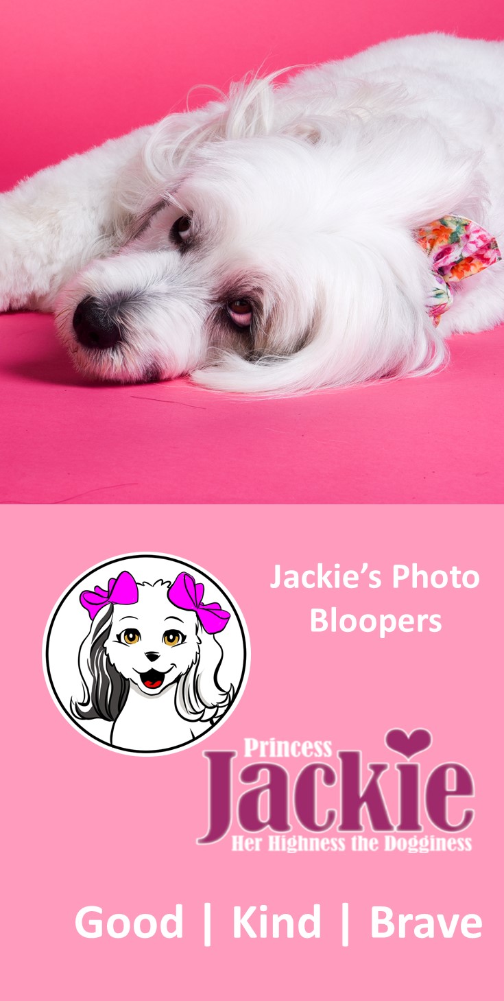 Jackie photo blooper laying on side